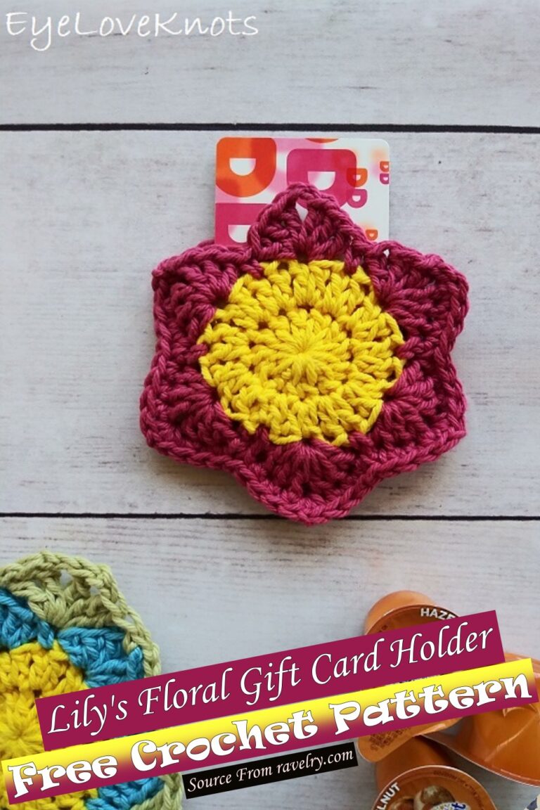 17 Unique Free Crochet Gift Card Holder Patterns