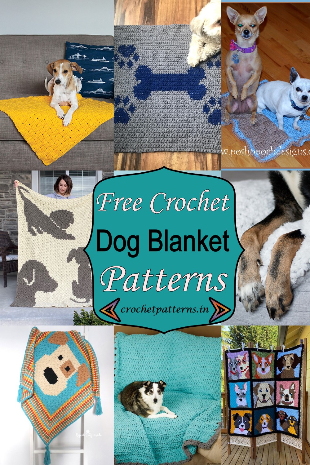 10 Free Crochet Dog Blanket Patterns