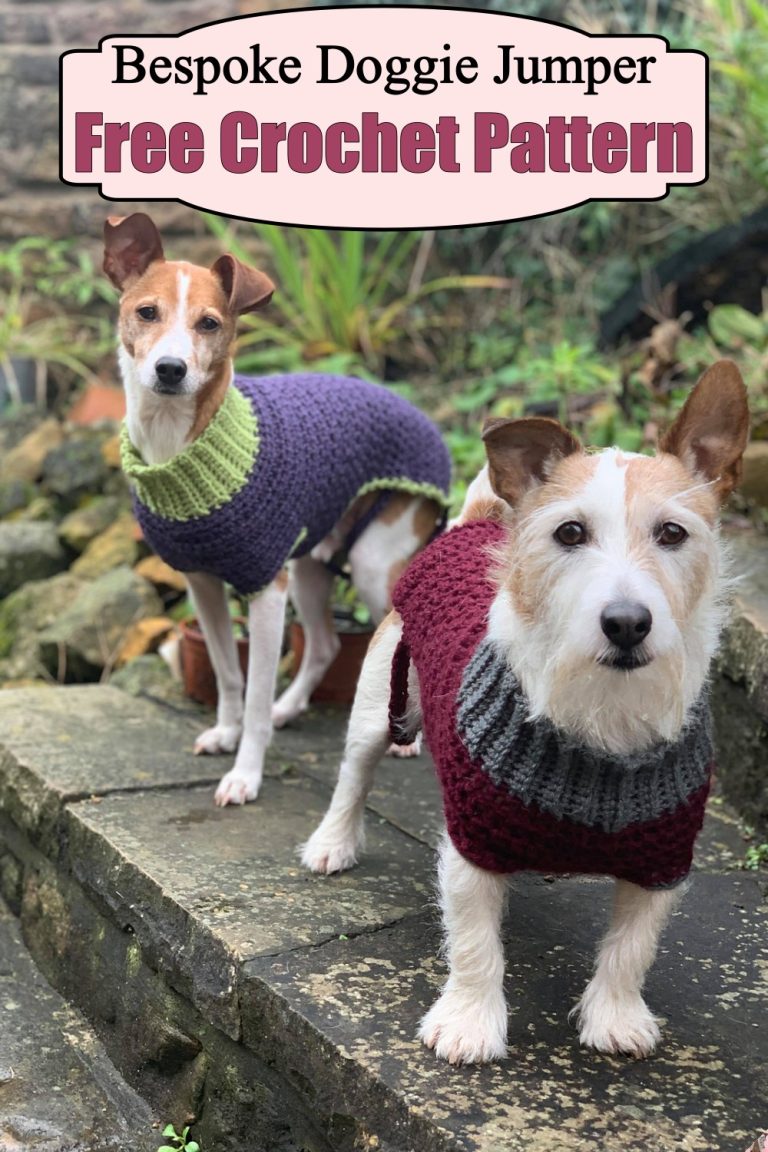 25 Free Crochet Dog Sweater Patterns