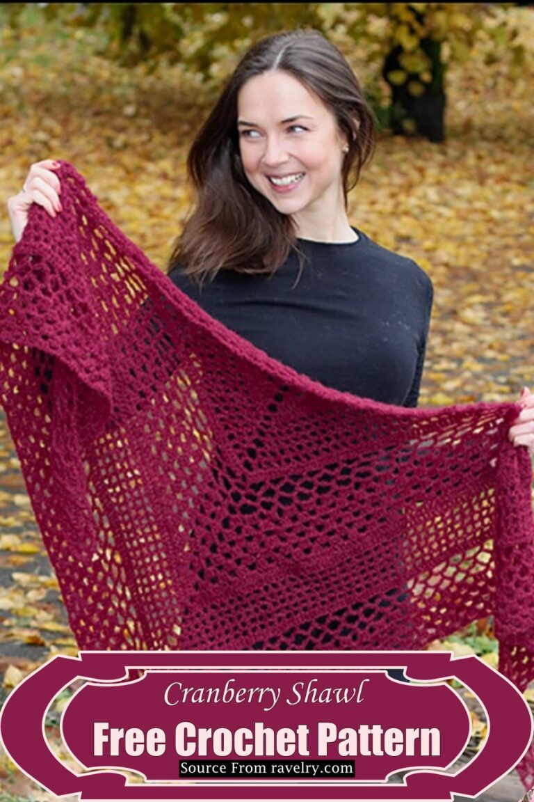 25 Free Crochet Lace Shawl Patterns For All Skill Levels