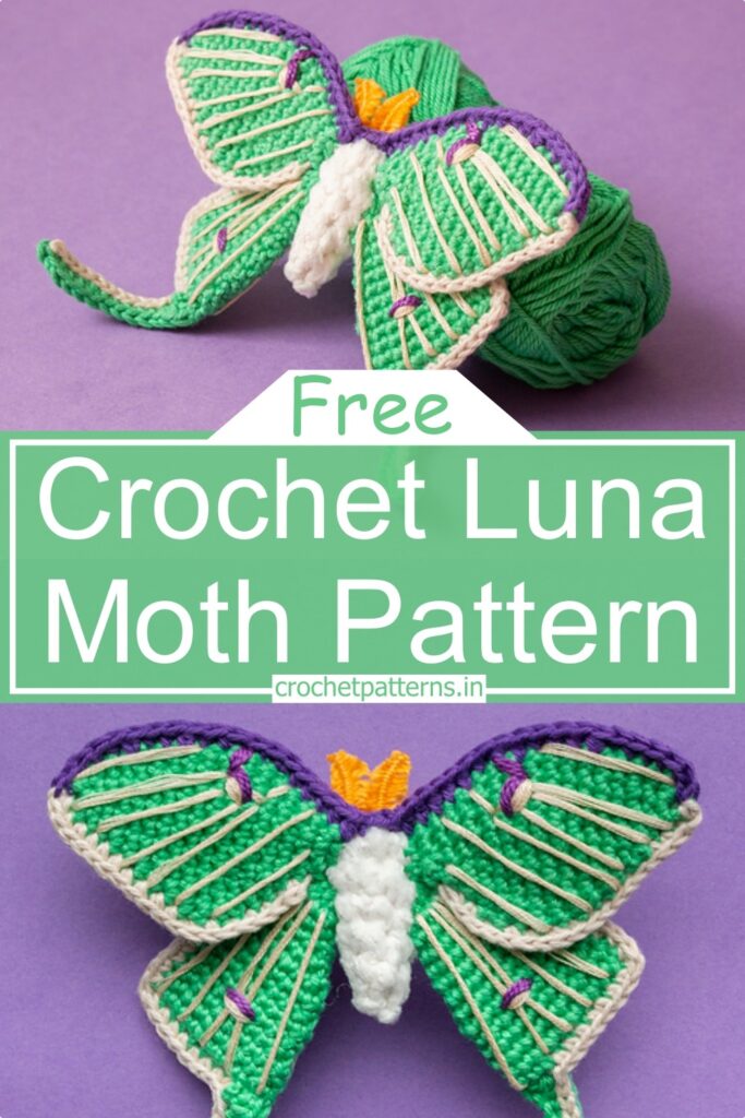 Free Crochet Moth Patterns For Amigurumi & Decorations!