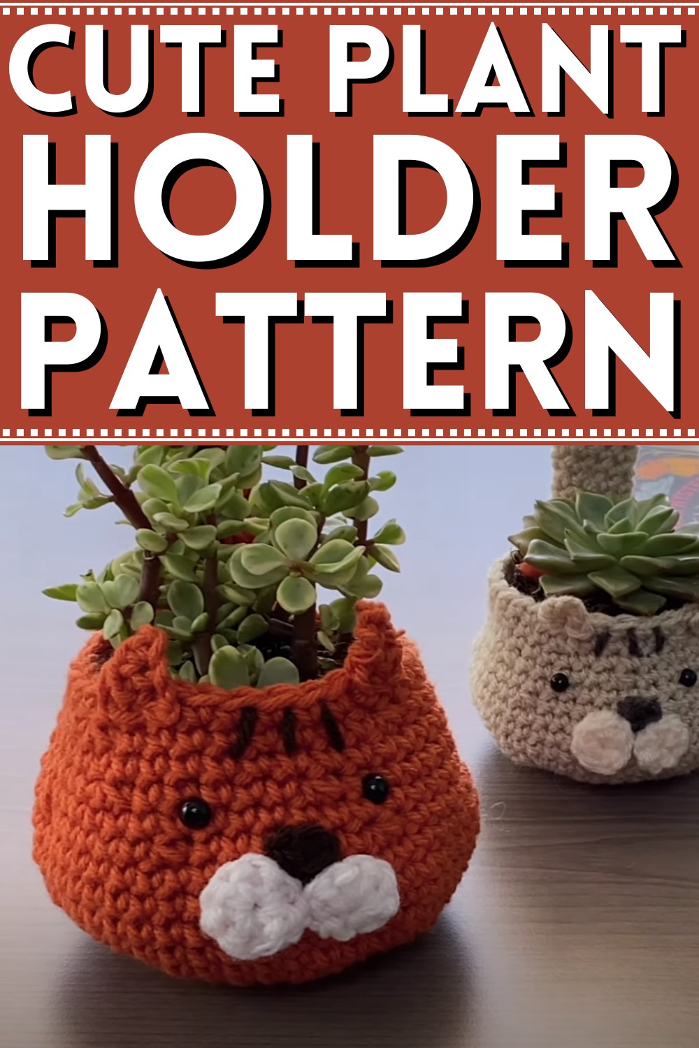 Cute Crochet Plant Holder
