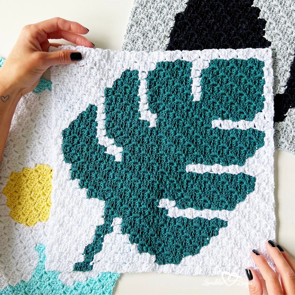 Crochet Monstera Patterns