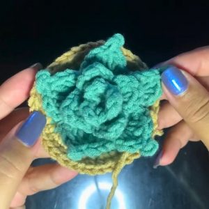 Crochet Beautiful Succulent Pattern (1)